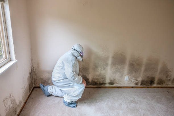 Mold Removal for HVAC Installations in Wingdale, NY